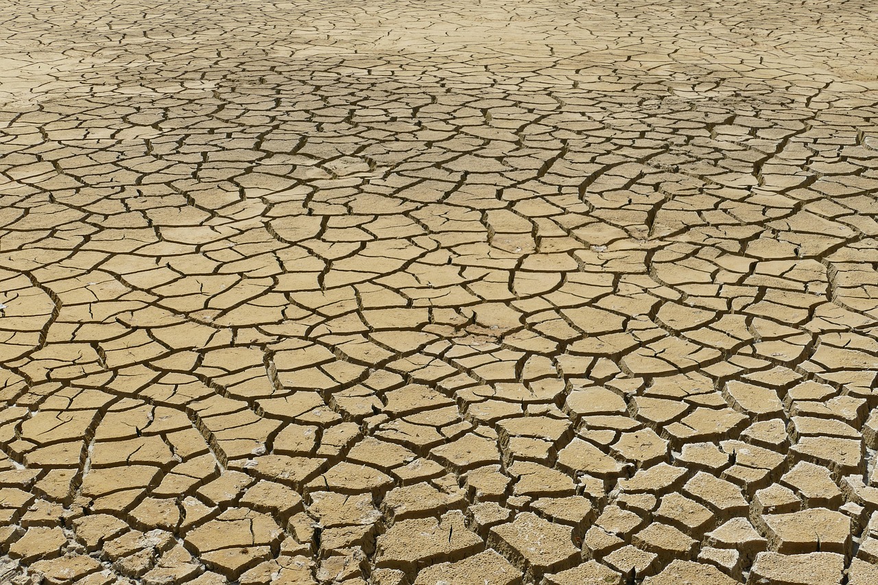 erfahren sie alles über den klimawandel: ursachen, auswirkungen auf umwelt und gesellschaft sowie lösungsansätze, um gemeinsam einer nachhaltigen zukunft entgegenzusteuern.