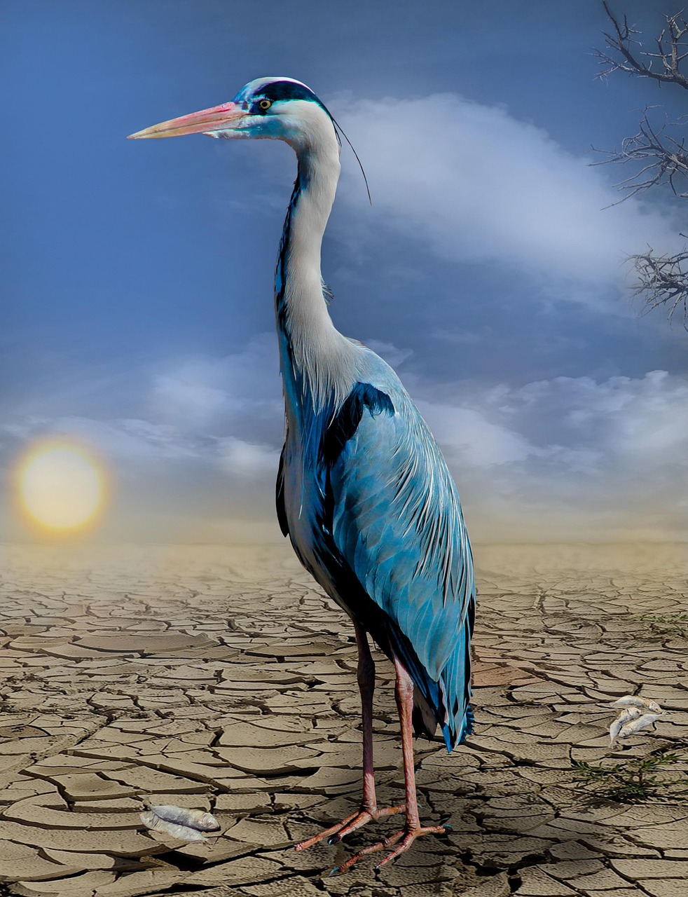 erfahren sie, was klimawandel bedeutet, welche ursachen und auswirkungen er hat und wie jeder von uns einen beitrag zum klimaschutz leisten kann. alles rund um den klimawandel im überblick.