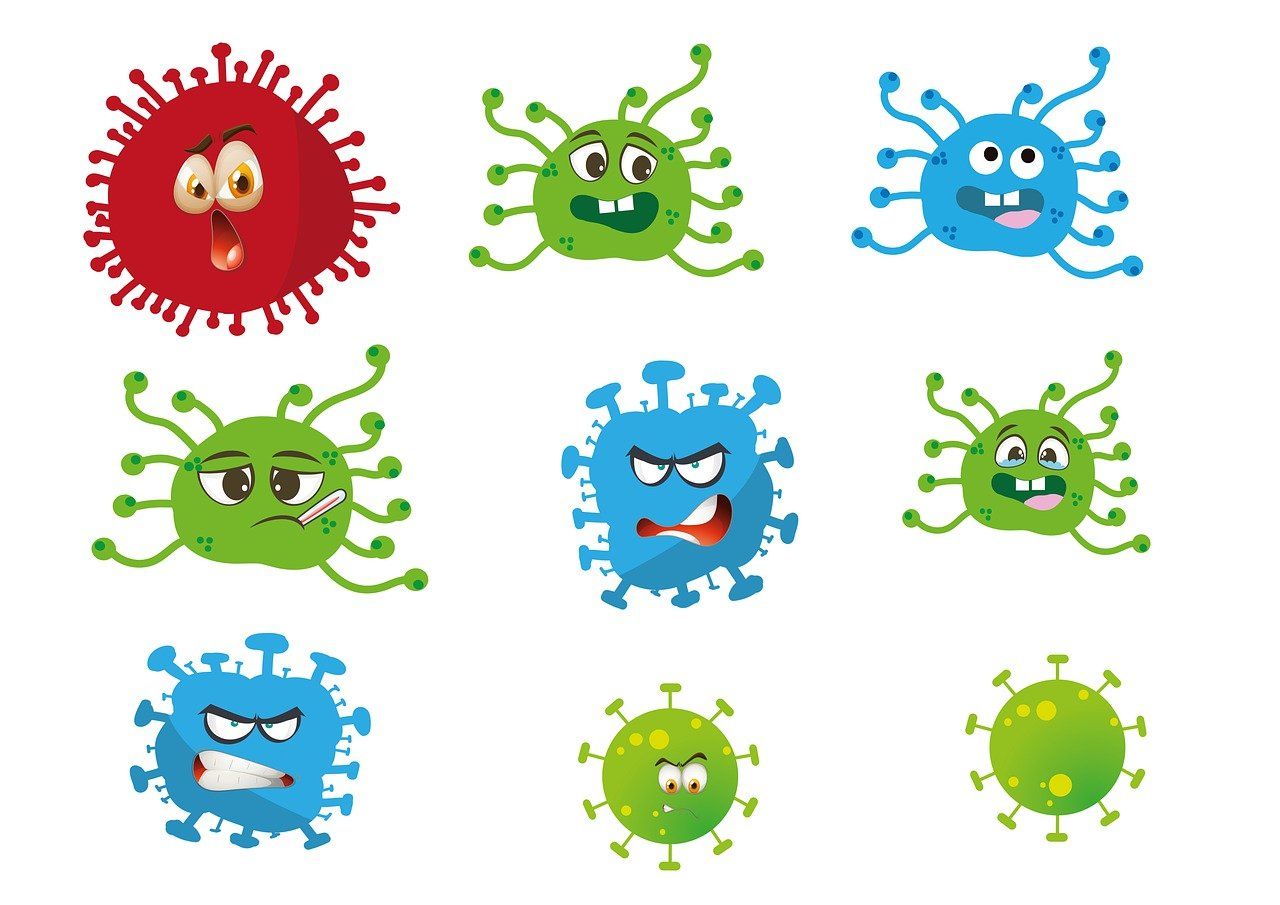 entdecken sie, wie das immunsystem funktioniert, welche faktoren es beeinflussen und wie sie es natürlich stärken können. erfahren sie mehr über symptome eines geschwächten immunsystems und tipps für ihre gesundheit.