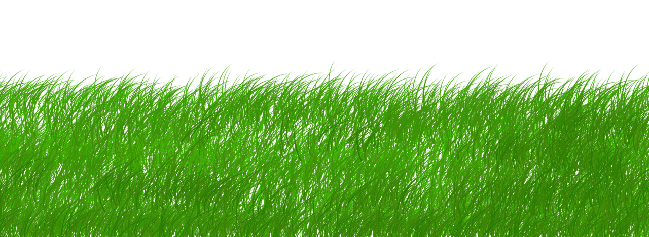 entdecken sie nachhaltige lösungen und tipps für ein umweltfreundliches leben. erfahren sie mehr über nachhaltige praktiken, produkte und innovationen, die unsere welt verbessern.
