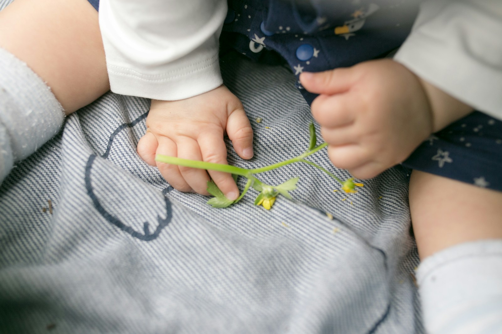 Bernsteinketten für Babys: Der natürliche Weg zur Linderung von Zahnungsschmerzen